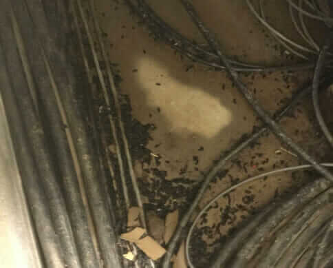 Bio-One of Akron, a team you can rely on.