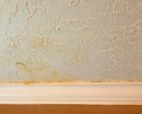 Bio-One of Akron, a team you can rely on.