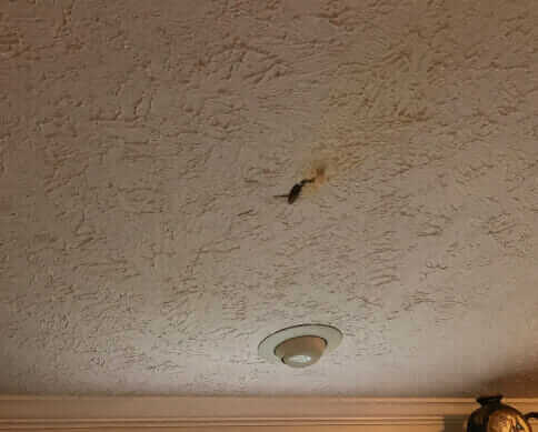 Bio-One of Akron is the right team for the job